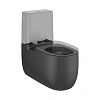 Чаша напольного унитаза Roca Beyond rimless, оникс матовый 3420B9640 Чаша напольного унитаза Roca Beyond rimless, оникс матовый 3420B9640