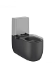 Чаша напольного унитаза Roca Beyond rimless, оникс матовый 3420B9640 Чаша напольного унитаза Roca Beyond rimless, оникс матовый 3420B9640