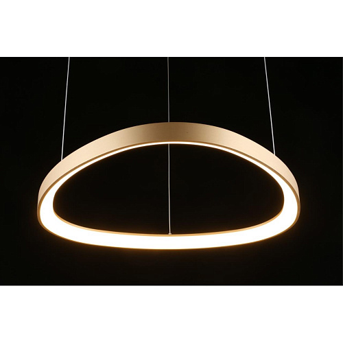 Люстра подвесная Aployt Zula APL.022.03.48 Люстра подвесная Aployt Zula APL.022.03.48