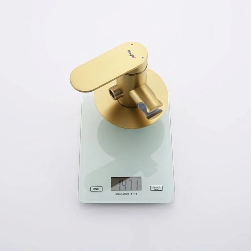 Гигиенический душ Raglo R10.52.03 встраиваемый, сатин золотой Гигиенический душ Raglo R10.52.03 встраиваемый, сатин золотой