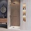 Картинка анонса товара «душевая дверь rgw hotel ho-008 1000 мм easy clean хром 350600810-11»