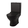 Унитаз напольный Taliente Arte черный матовый, с бачком и крышкой микролифт AR35045 Nero Унитаз напольный Taliente Arte черный матовый, с бачком и крышкой микролифт AR35045 Nero
