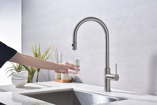 Смеситель для кухни Paulmark Galant брашированная сталь Ga213077-BS Смеситель для кухни Paulmark Galant брашированная сталь Ga213077-BS