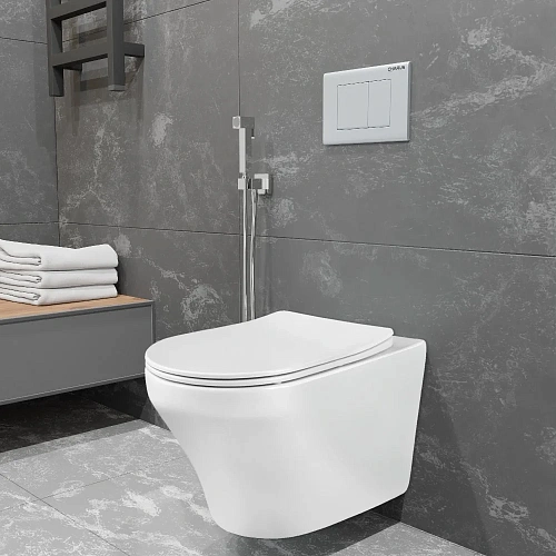 Унитаз подвесной CHARUS FRANZ D RIMLESS EWC700-124W безободковый, c легкосъемным сиденьем, с функцией микролифт Унитаз подвесной CHARUS FRANZ D RIMLESS EWC700-124W безободковый, c легкосъемным сиденьем, с функцией микролифт