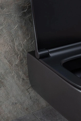 Унитаз подвесной Allen Brau Priority 4.31001.31 с крышкой, черный матовый Унитаз подвесной Allen Brau Priority 4.31001.31 с крышкой, черный матовый