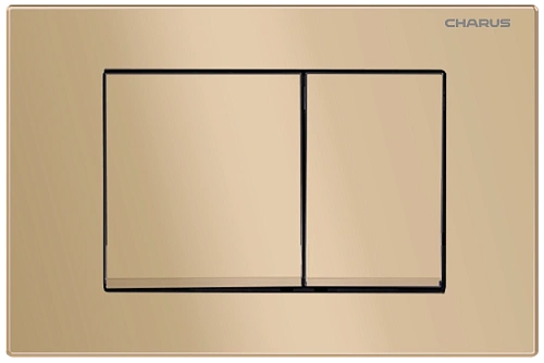 Клавиша смыва CHARUS MINIMALISTA FP.310.51.01 матовый песок Клавиша смыва CHARUS MINIMALISTA FP.310.51.01 матовый песок