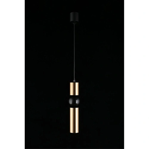 Светильник подвесной Aployt Brizhit APL.615.16.01 Светильник подвесной Aployt Brizhit APL.615.16.01