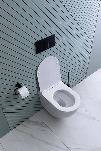 Унитаз подвесной Aquanet Rimless Cetus 2.0 W LX-1901 с сиденьем Унитаз подвесной Aquanet Rimless Cetus 2.0 W LX-1901 с сиденьем