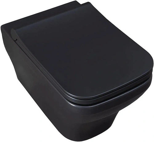 Унитаз подвесной Allen Brau Infinity 4.21011.31 с крышкой, черный матовый Унитаз подвесной Allen Brau Infinity 4.21011.31 с крышкой, черный матовый