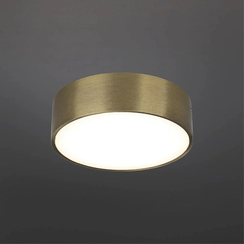 Светильник настенно-потолочный Aployt Evon APL.0114.29.12 Светильник настенно-потолочный Aployt Evon APL.0114.29.12