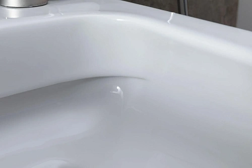 Комплект унитаза Allen Brau Priority 4.31002.20/8.9466.0.000.000.1 (00316509) с инсталляцией, белый глянец Комплект унитаза Allen Brau Priority 4.31002.20/8.9466.0.000.000.1 (00316509) с инсталляцией, белый глянец