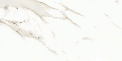 Керамогранит Neodom Splendida Marmol Carrara Polished 60x120 N12028 Керамогранит Neodom Splendida Marmol Carrara Polished 60x120 N12028