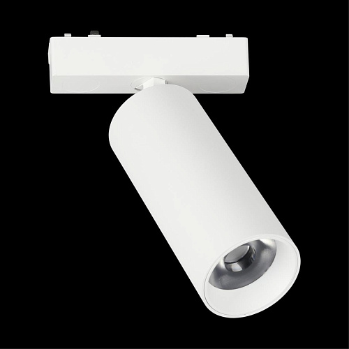 Светильник трековый Aployt Magnetic track 48 APL.0114.10.18 Светильник трековый Aployt Magnetic track 48 APL.0114.10.18