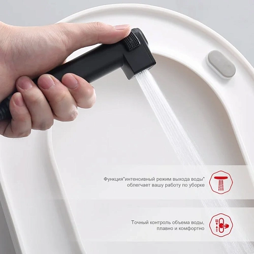 Гигиенический душ Raglo R24.56.06 встраиваемый с термостатом, черный Гигиенический душ Raglo R24.56.06 встраиваемый с термостатом, черный