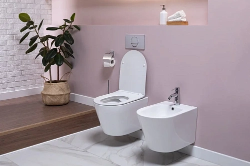 Биде подвесное Aquanet Atago 2.0 B2 LX-1057 Биде подвесное Aquanet Atago 2.0 B2 LX-1057