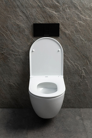 Унитаз подвесной Allen Brau Priority Tornado 4.31008.20 с крышкой, белый глянец