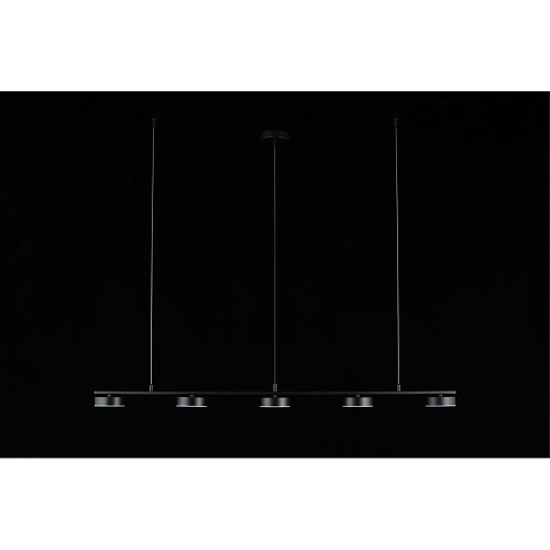 Люстра подвесная Aployt Usia APL.047.03.35 Люстра подвесная Aployt Usia APL.047.03.35