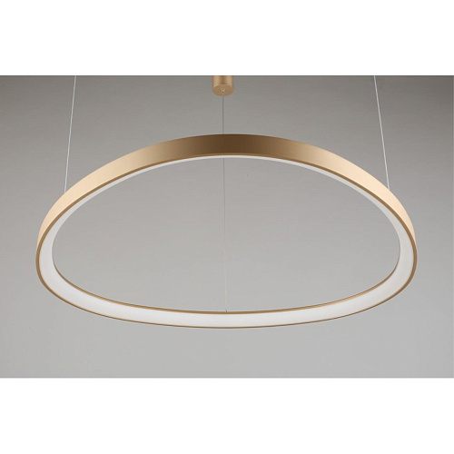 Люстра подвесная Aployt Zula APL.022.03.60 Люстра подвесная Aployt Zula APL.022.03.60