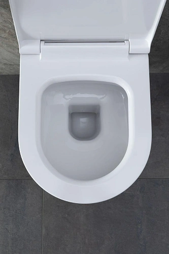 Комплект унитаза Allen Brau Priority 4.31002.20/8.9466.0.000.000.1 (00316509) с инсталляцией, белый глянец Комплект унитаза Allen Brau Priority 4.31002.20/8.9466.0.000.000.1 (00316509) с инсталляцией, белый глянец