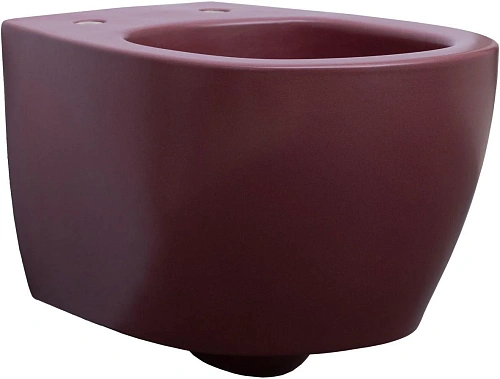 Унитаз подвесной Allen Brau Fantasy 4.11004.BD с крышкой, бордо Унитаз подвесной Allen Brau Fantasy 4.11004.BD с крышкой, бордо