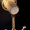 Держатель туалетной бумаги Boheme Royal Cristal 10921-G-B Держатель туалетной бумаги Boheme Royal Cristal 10921-G-B