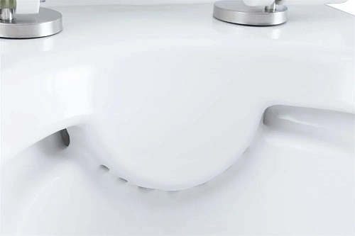 Чаша напольного унитаза Aquanet Rimless Roll 2-C CL-12289 с сиденьем Чаша напольного унитаза Aquanet Rimless Roll 2-C CL-12289 с сиденьем