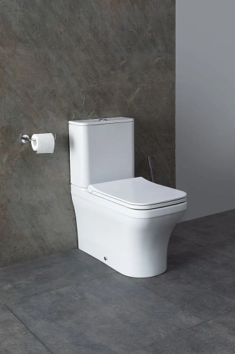 Чаша напольного унитаза Allen Brau Infinity 4.21012.20 с крышкой, белый глянец Чаша напольного унитаза Allen Brau Infinity 4.21012.20 с крышкой, белый глянец