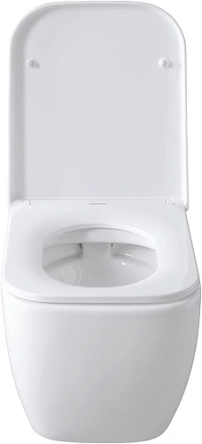 Комплект унитаза Allen Brau Infinity 4.21004.20/8.9466.0.000.000.1 (00316505) с инсталляцией, белый глянец Комплект унитаза Allen Brau Infinity 4.21004.20/8.9466.0.000.000.1 (00316505) с инсталляцией, белый глянец