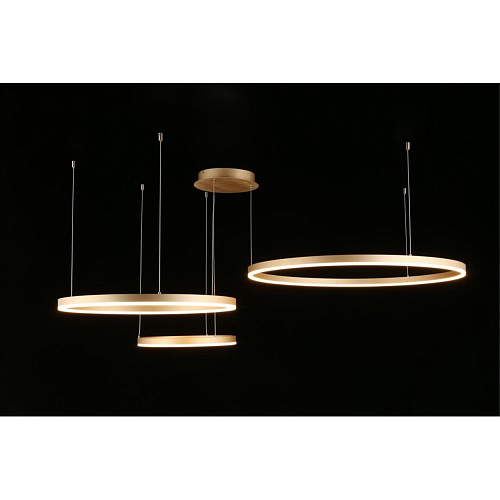 Люстра подвесная Aployt Terenia APL.024.03.136 Люстра подвесная Aployt Terenia APL.024.03.136