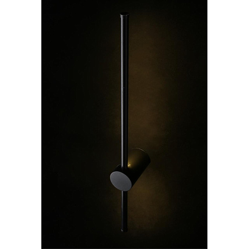 Светильник настенный (Бра) Aployt Gabi APL.0123.01.07 Светильник настенный (Бра) Aployt Gabi APL.0123.01.07