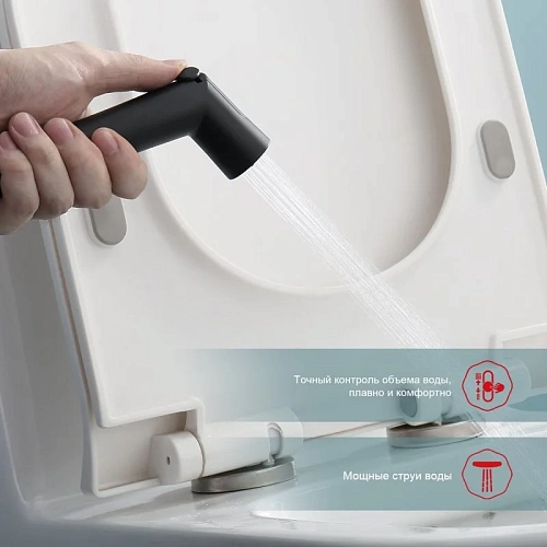 Гигиенический душ Raglo R23.56.06 встраиваемый с термостатом, черный Гигиенический душ Raglo R23.56.06 встраиваемый с термостатом, черный