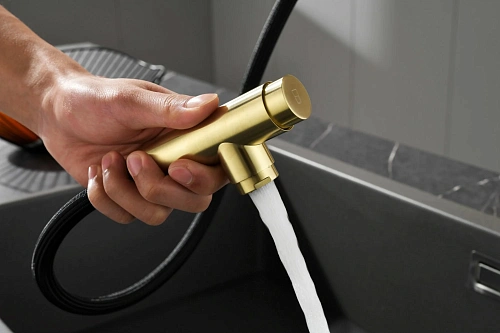 Смеситель для кухни AQUAme Cucina AQM9902BG с выдвижным изливом, золото шлифованное Смеситель для кухни AQUAme Cucina AQM9902BG с выдвижным изливом, золото шлифованное