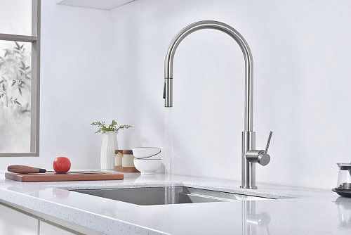 Смеситель для кухни Paulmark Senso брашированная сталь Se215180-BS Смеситель для кухни Paulmark Senso брашированная сталь Se215180-BS