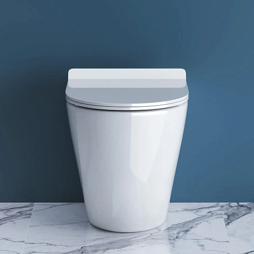 Унитаз приставной BelBagno SFERA-R BB2141CBR/BB2111SC безободковый с сиденьем Унитаз приставной BelBagno SFERA-R BB2141CBR/BB2111SC безободковый с сиденьем