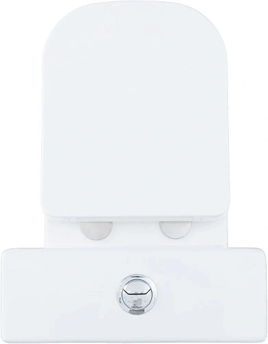 Чаша напольного унитаза Aquanet Fine Rimless FINE-C Soft Close FINE-C с сиденьем Чаша напольного унитаза Aquanet Fine Rimless FINE-C Soft Close FINE-C с сиденьем