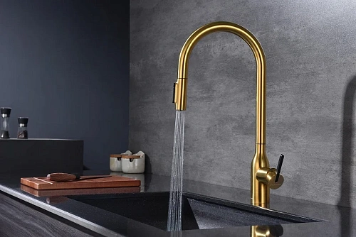 Смеситель для кухни Paulmark Universal брашированное золото Un213880-BG Смеситель для кухни Paulmark Universal брашированное золото Un213880-BG