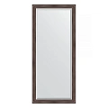 Зеркало в багетной раме Evoform Exclusive BY 1204 71 x 161 см, палисандр Зеркало в багетной раме Evoform Exclusive BY 1204 71 x 161 см, палисандр