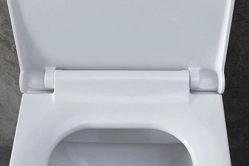 Комплект унитаза Allen Brau Infinity 4.21011.20/8.9466.0.000.000.1 (00316506) с инсталляцией, белый глянец Комплект унитаза Allen Brau Infinity 4.21011.20/8.9466.0.000.000.1 (00316506) с инсталляцией, белый глянец