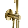 Гигиенический душ Wonzon & Woghand TOR брашированное золото (WW-88829073-BG) Гигиенический душ Wonzon & Woghand TOR брашированное золото (WW-88829073-BG)