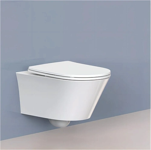 Крышка-сиденье ARROW PG017-ZPA белый Крышка-сиденье ARROW PG017-ZPA белый