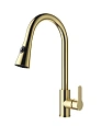 Смеситель для кухни Wonzon & Woghand с выдвижным изливом, брашированное золото (WW-121E201L-BG) Смеситель для кухни Wonzon & Woghand с выдвижным изливом, брашированное золото (WW-121E201L-BG)