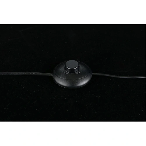 Торшер Aployt Iwona APL.742.05.01 Торшер Aployt Iwona APL.742.05.01