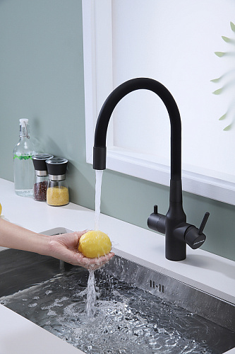 Смеситель для кухни Paulmark SALIX антрацит Sa213419-AN Смеситель для кухни Paulmark SALIX антрацит Sa213419-AN