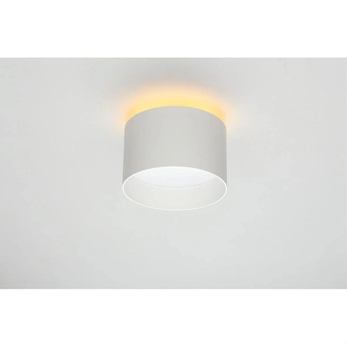 Светильник настенно-потолочный Omnilux Stezzano OML-100419-16 Светильник настенно-потолочный Omnilux Stezzano OML-100419-16