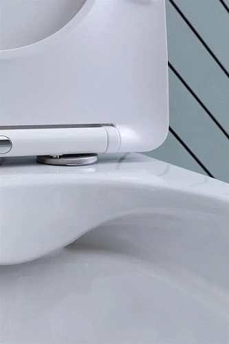 Унитаз подвесной Aquanet Rimless Cetus 2.0 W LX-1901 с сиденьем Унитаз подвесной Aquanet Rimless Cetus 2.0 W LX-1901 с сиденьем