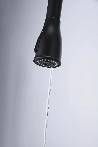 Смеситель для кухни Paulmark LANGE антрацит La214212-AN Смеситель для кухни Paulmark LANGE антрацит La214212-AN