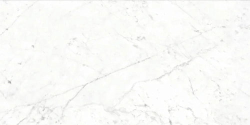 Керамогранит Neodom Sale Carrara Bianco Polished 60x120 CV20187 Керамогранит Neodom Sale Carrara Bianco Polished 60x120 CV20187