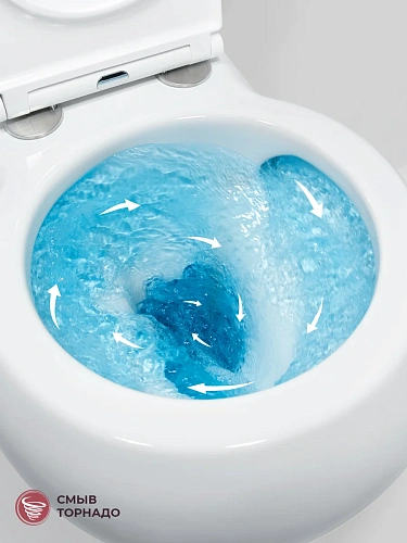 Унитаз подвесной CEZARES GRANDE CZR-308-TH-TOR/SC безободковый с сиденьем и смывом TORNADO Унитаз подвесной CEZARES GRANDE CZR-308-TH-TOR/SC безободковый с сиденьем и смывом TORNADO