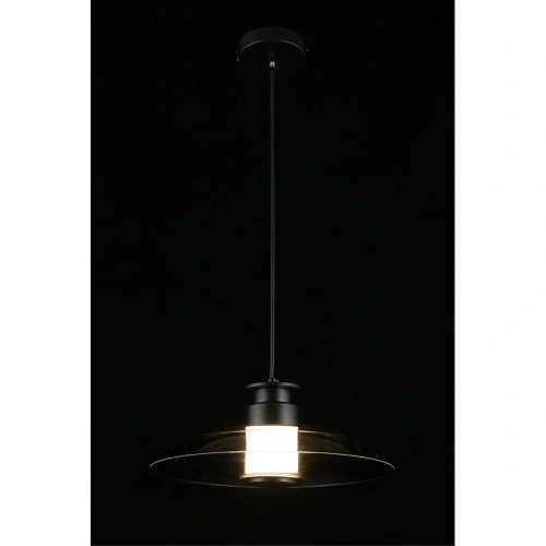 Светильник подвесной Aployt Stefa APL.648.06.10 Светильник подвесной Aployt Stefa APL.648.06.10