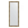 Зеркало в багетной раме Evoform Exclusive Floor BY 6121 82 x 202 см, серебряный акведук